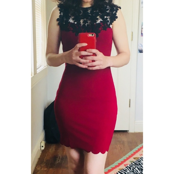 HP - Contrast Guipure Lace Shoulder Fitted Dress - Picture 5 of 8